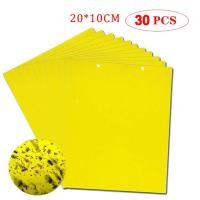 ราคา ที่ดักแมลง กาวดักแมลงวัน สองด้าน แผ่นกาวดักแมลง 50แผ่น กับดักแมลงกินผัก เหนียวกับดักแ ดักแมลงศัตรูพืช กับดักแมลงวัน กาวดักแมลง (21994879711)