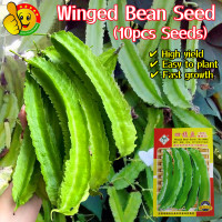 ราคา ปลูกง่าย ปลูกได้ทั่วไทย 10เมล็ด ซอง เมล็ดพันธุ์ ถั่วพู High Yield Winged Bean Seeds for Planting Organic Vegetables Seeds Easy To Grow เมล็ดพันธุ์ถั่วพู เมล็ดพันธุ์ ถั่วพูยักษ์ ถั่วพูยาว เมล็ดพันธุ์ผั