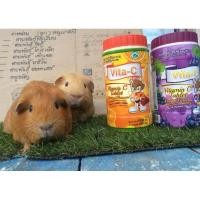 ราคา วิตามินซีแบบเม็ดสำหรับหนูแกสบี้ (20500226283)