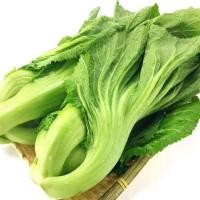 ราคา 1000 เมล็ด เขียวปลี เขียวปลีจีน ผักกาดเขียวปลี ผักโสภณ Chinese mustard Seeds (21900310560)