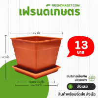 ราคา กระถาง กระถางต้นไม้ 4 เหลี่ยม พร้อมจานรอง 5 นิ้ว (21761386150)