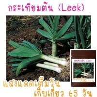 ราคา เมล็ดพันธุ์ กระเทียมกินต้น ไม่ใช่ต้นหอมญี่ปุ่น 30เมล็ด (21956529012)