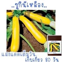 ราคา เมล็ดพันธุ์ ซูกินีเหลือง golden zucchini 5เมล็ด (21956439248)