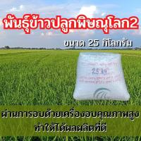 ราคา พันธุ์ข้าวปลูก พิษณุโลก2 ข้าวปลูก พิษณุโลก2 พันธุ์ข้าว พิษณุโลก2 ชุดทดลองปลูก เมล็ดพันธุ์พันธุ์ข้าว จำนวน 25 กิโลกรัม (19802721756)