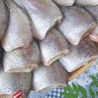 ราคา ปลาสลิด ปลาสลิดแดดเดียว ปลาสลิดบางบ่อ สดใหม่ สะอาด (20197544181)