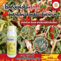 ราคา โรคกุ้งแห้งในพริก พริกใบเหลือง พลิกใบแห้ง เมล็ดพริกแห้ง โรคพริกที่เกิดจากเชื้อราต่างๆ ป้องกันแลtกำจัดด้วย ไอเอส และFK T (21526867527)