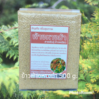 ราคา ข้าวฟ่างธัญพืชเพื่อสุขภาพ บรรจุ 500 กรัม (874464685)