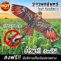 ราคา ว่าวไล่นก ว่าวนกอินทรีย์ ว่าวไล่นกกันนกกินเมล็ดพืช ว่าวตกแต่งสวน 170 x 70 cm x1 ชิ้น (923384948)
