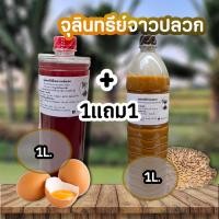 ราคา 1แถม1 ใช้โค้ดส่งฟรี จุลินทรีย์สังเคราะห์แสง PSB ขนาด1ลิตร 1แถม1 สูตรเข้มข้นสีแดงสด ใช้ขยายเชื้อต่อได้ไม่รู้จบ (21989475476)