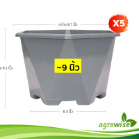 ราคา กระถางต้นไม้ กระถางหกเหลี่ยม ลายเพชร กระถางแคนตัส เบอร์ 3 5 6 8 10 นิ้ว (21393697060)