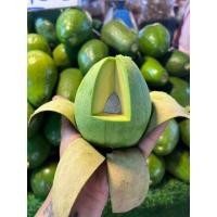 ราคา อโวคาโดพันธุ์พื้นเมือง (21952109514)