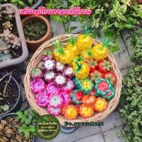 ราคา เหรียญโปรยทาน ผลไม้รวม ตัวเปล่า 2ชิ้น แก้วมังกร สับปะรด มังคุด ส้ม มะเขือเทศ มะพร้าว แอปเปิ้ล เหรียญโปรยทานผลไม้ (21484855276)