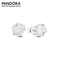 ราคา Pandora Rose Sterling Silver Stud Earrings (21546616028)