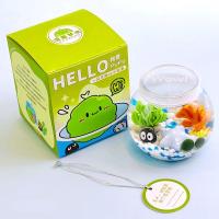 ราคา bingbin Marimo ชุดพร้อมเลี้ยงมาริโมะ มาริโมะ มอสบอล ของแท้ ของขวัญ (21430267270)