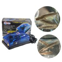 ราคา ปั้มออกซิเจนตู้ปลา ปลาช่อนพะนาวแม่น้ำโขง size 3 4นิ้ว ลายสวยมาก มีประกันสินค้าคะ (21785113343)