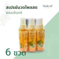 ราคา น้ำมันนวด สเปรย์นวดไพลสด นวดผิวกาย พรมจันทร์ ปริมาณ 60 ml (21875681555)