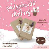 ราคา LXG ชุดปลูกดอกไม้ เซ็ทใจฟู เซ็ทของขวัญ มีให้เลือกหลายชนิด ของขวัญวันเกิด ของขวัญปีใหม่ ของขวัญปัจฉิม ของชำร่วย (21162494656)