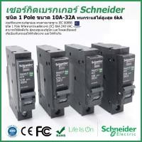 ราคา เซอร์กิตเบรกเกอร์ ลูกย่อย Schneider 1 Pole 10A 32A Circuit Breaker Schneider 1 Pole 10A 32A (21519547617)