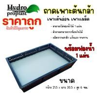 ราคา ถาดเพาะต้นกล้า เพาะผัก เพาะเมล็ดไฮโดรโปรนิกส์ พร้อมฟองน้ำ 1 ชุด (21959384832)