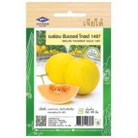 ราคา เมล็ดพันธุ์ แตงโม เมล่อน แคนตาลูป ทุกสายพันธุ์ 10 50 เมล็ด แตงโม แตงโมเหลือง แตงโมดำ แตงโมไร้เมล็ด (21973790625)