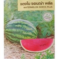 ราคา เมล็ดพันธุ์ แตงโม เมล่อน แคนตาลูป ทุกสายพันธุ์ 10 50 เมล็ด แตงโม แตงโมเหลือง แตงโมดำ แตงโมไร้เมล็ด (20959630102)