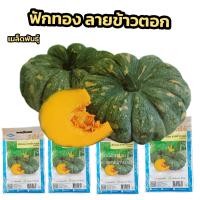 ราคา เมล็ดพันธุ์ ฟักทอง ลายข้าวตอก 20 เมล็ด ตราเจียไต๋ (21615536066)