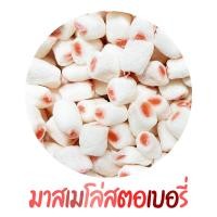 ราคา ขนมหนูแฮมเตอร์ โลโบ ใจแอ้นท์ วินเทอร์ไวท์ แคมเบล หนูอื่นๆ สัตว์เล็กทุกสายพันธ์ (20113704005)