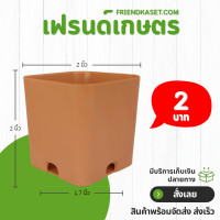 ราคา กระถาง กระถางต้นไม้ กระถางสี่เหลี่ยม ขนาด 2 นิ้ว สีดำ สีขาว สีอิฐ (21400178813)