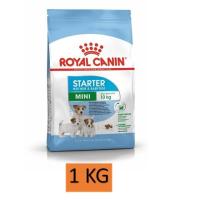 ราคา Royal Canin Dog Mini Starter 1 3 8 5 16 KG อาหารสุนัข พันธุ์เล็ก อาหารเม็ด สุนัขตั้งท้อง แม่และลูกสุนัข ลูกสุนัขหย่านม 1 ถุง (20829382160)