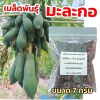 ราคา เมล็ดพันธุ์ มะละกอ แขกนวลดำเนิน ขนาด 7 กรัม (22018659460)