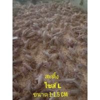 ราคา สะดิ้ง ขนาด 1 ชุด เคลมไม่เสียค่าใช้จ่าย (21939653329)