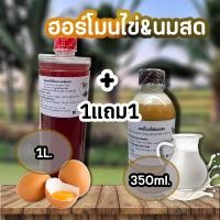 ราคา 1แถม1 ใช้โค้ดส่งฟรี จุลินทรีย์สังเคราะห์แสง PSB ขนาด1ลิตร 1แถม1 สูตรเข้มข้นสีแดงสด ใช้ขยายเชื้อต่อได้ไม่รู้จบ (21989475475)