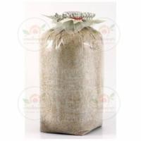 ราคา เชื้อเห็ดนางฟ้า (1590308617)