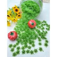 ราคา จุกมะเขือเทศ เหรียญโปรยทาน แพ็ค100ชี้น พร้อมส่ง (21459903031)