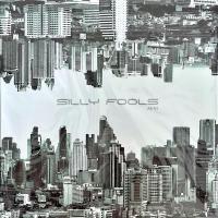ราคา Silly Fools Mini Album (22005874480)