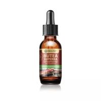 ราคา สมุนไพรไทย กวาวเครือแดง Butea Superba ดู่ทุ่ง Enkleia Thorelii Lecomte Nervling สารสกัดกวาวเครือแดง สารสกัดดู่ทุ่ง เข้มข้นสูง ชนิดน้ำ 25 ml (21597235266)