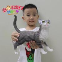 ราคา Monkey Toys โมเดลสัตว์ Cat แมว เทา ขนาด 26 00 CM แบบนิ่ม จากหาดใหญ่ (16528706572)