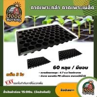 ราคา GOOD ถาดเพาะกล้า 60 หลุม แพ็ค 3 ใบ ถาดเพาะเมล็ ถาดหลุม เพาะกล้า ถาดเพาะกล้าด มีขอบ อุปกรณ์เกษตร สวน (922284480)