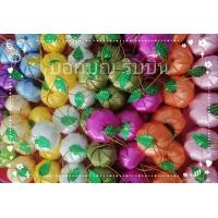 ราคา เหรียญโปรยทานลูกส้ม ตัวเปล่าไม่ใส่เหรียญ คละสี (21283622916)