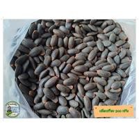 ราคา เม็ดเหรียงขนาดทดลองเพาะ 300 กรัม (21736748752)