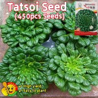 ราคา ปลูกง่าย ปลูกได้ทั่วไทย 450เมล็ด ซอง เมล็ดพันธุ์ ผักกวางตุ้ง แทตฉ่อย หรือกวางตุ้ง ดอกไม้ไฟ High Yield Tatsoi Seeds Organic Vegetable Seeds for Planting Tat Soi Chinese Flat Cabbage Seeds ผักออร์แกนิก 