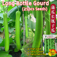 ราคา ปลูกง่าย ปลูกได้ทั่วไทย งอกง่า25เมล็ด ซอง เมล็ดพันธุ์ น้ำเต้ายาว คูกุซซี่ Cucuzzi Gourd Seed Long Bottle Gourd Seeds Organic Vegetable Seeds for Planting เมล็ดน้ำเต้ายาว เมล็ดพันธุ์น้ำเต้ายาว เมล็ดน้ำ