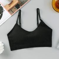ราคา สปอร์ตบราไร้โครง บราไร้ขอบ เสื้อในดันทรง ผ้านุ่มใส่สบาย (21325277028)