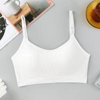ราคา สปอร์ตบราไร้โครง บราไร้ขอบ เสื้อในดันทรง ผ้านุ่มใส่สบาย (21325277027)
