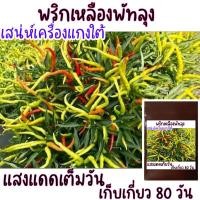 ราคา 30 เมล็ด พริกเหลืองพัทลุง กลิ่นหอม เผ็ดร้อน เมล็ดพันธุ์พริกเหลืองพัทลุง (21956508041)