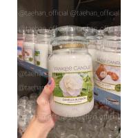 ราคา YANKEE CANDLE พร้อมส่ง เทียนหอมแยงกี้ กลิ่นยอดนิยม แท้ (17398577935)