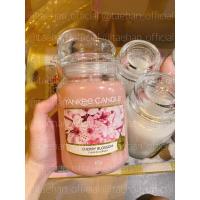 ราคา YANKEE CANDLE พร้อมส่ง เทียนหอมแยงกี้ กลิ่นยอดนิยม แท้ (17398577941)