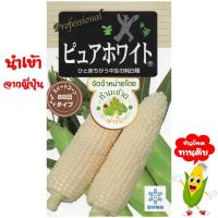ราคา ทำมะชาดฟาร์ม ซองญี่ปุ่นแท้ มีคู่มือ เมล็ดพันธุ์ ข้าวโพดเพียวไวท์ ข้าวโพดฮอกไกโด ข้าวโพดทานสด ข้าวโพดกินดิบ ข้าวโพดนมสด (528338830)