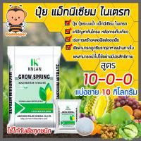 ราคา ปุ๋ย สูตร 10 0 0 แมกนีเซียมไนเตรท แบ่งขาย บรรจุ 10 กิโลกรัม Magnesium Nitrate KNLANเร่งการสร้างคลอฟิลล์ของพืช แม่ปุ๋ย ปุ๋ยเกร็ด แก้ปัญหาต้นโทรม (10951505882)