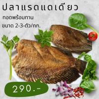 ราคา มาใหม่จ้า ปลาแรด ปลาแดดเดียว ปลาทอดพร้อมทาน ปลาเนื้อแน่น สะอาดสดใหม่ ไม่เหม็นคาวดิน ปลาคุณภาพปลาสุพรรณจ้า ขนาด 2 3 ตัว กก (15289118644)